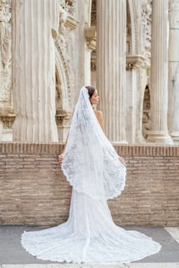 Gray Veil - Image 2
